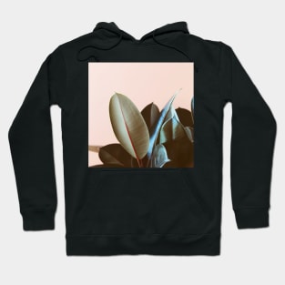 Ficus Elastica #1 Hoodie